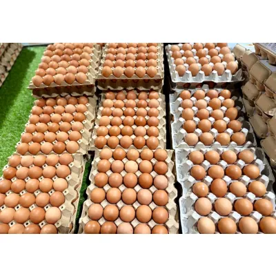 Fresh Brown Eggs Tray